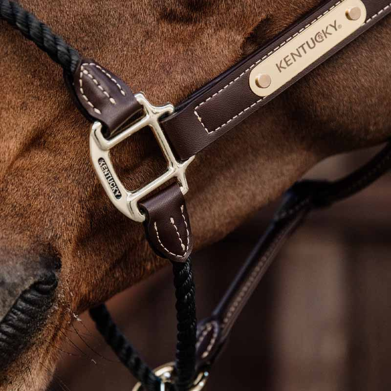 Leather Halter Rope Artificial Brown