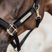 Halter Velvet Black Halter Velvet Black