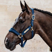 Halter Velvet Navy Blue Halter Velvet Navy Blue