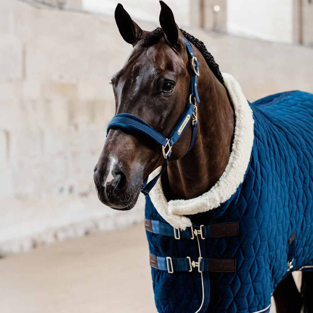 Halter Velvet Navy Blue