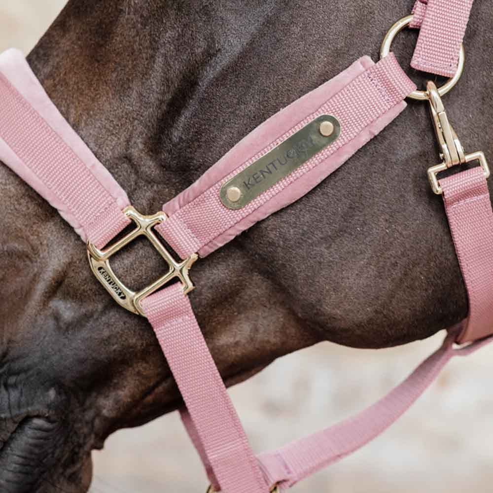Halter Velvet Old Pink