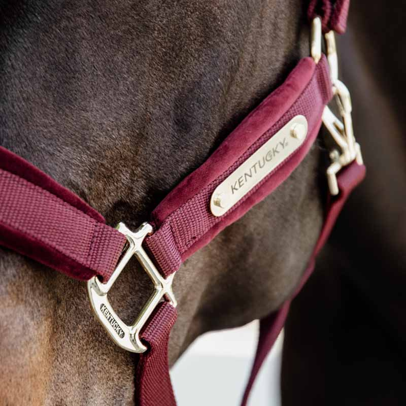 Halter Velvet Bordeaux