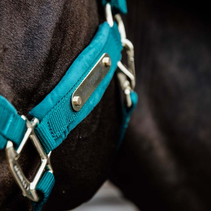 Halter Velvet Emerald Green