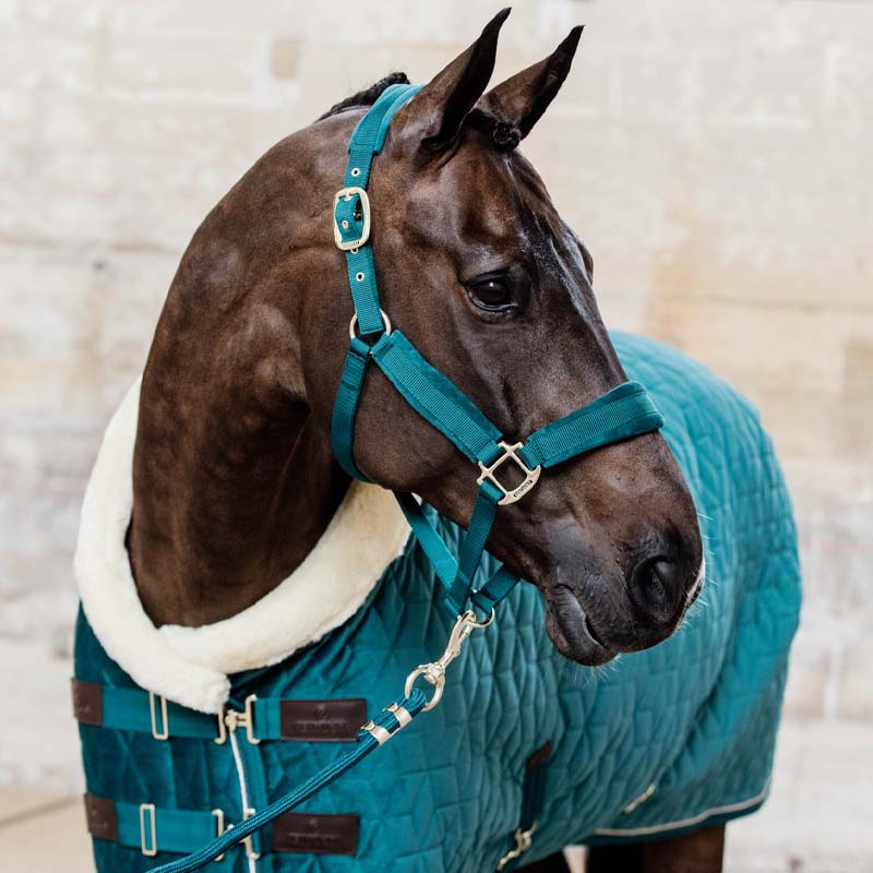 Halter Velvet Emerald Green
