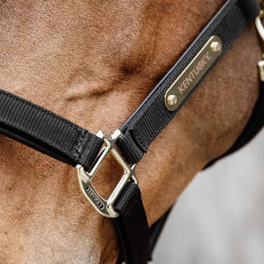 Halter Anatomic Nylon Black