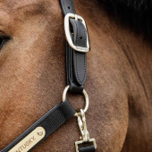 Halter Anatomic Nylon Black Halter Anatomic Nylon Black