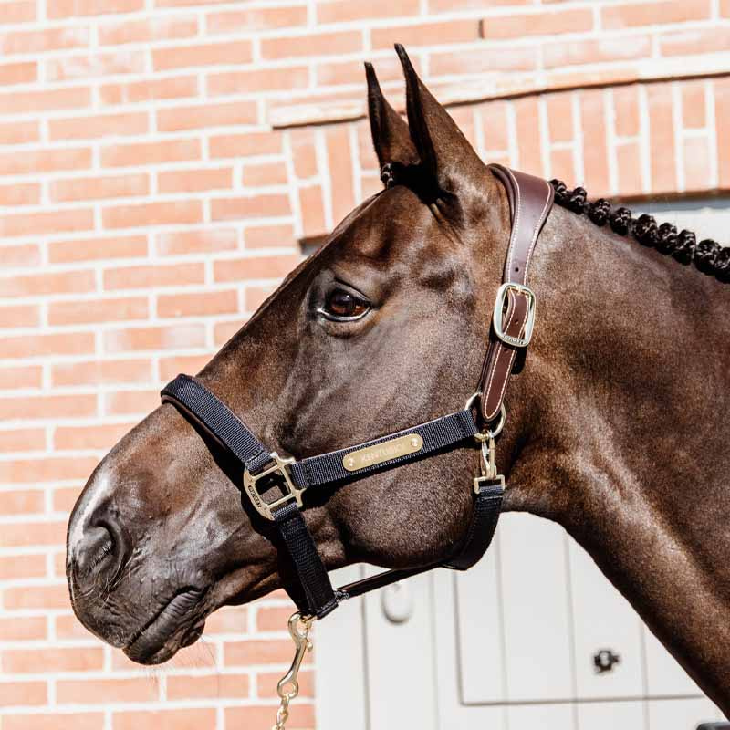 Halter Anatomic Nylon Navy Blue