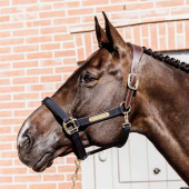 Halter Anatomic Nylon Navy Blue Halter Anatomic Nylon Navy Blue