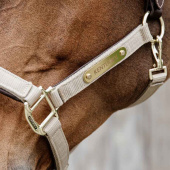 Halter Anatomic Nylon Beige Halter Anatomic Nylon Beige