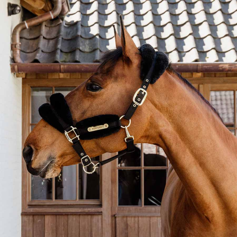 Halter Sheepskin Soft Black