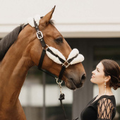 Halter Sheepskin Soft Nature Halter Sheepskin Soft Nature