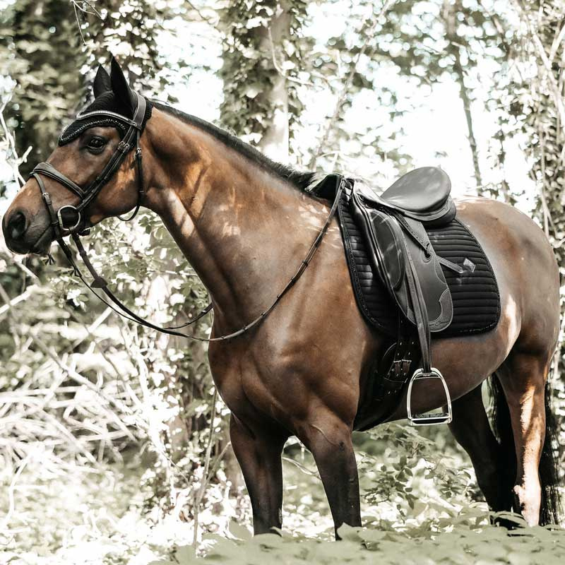 Dressage Saddle Pad Pearls Black