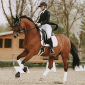 Dressage Saddle Pad Pearls White Dressage Saddle Pad Pearls White
