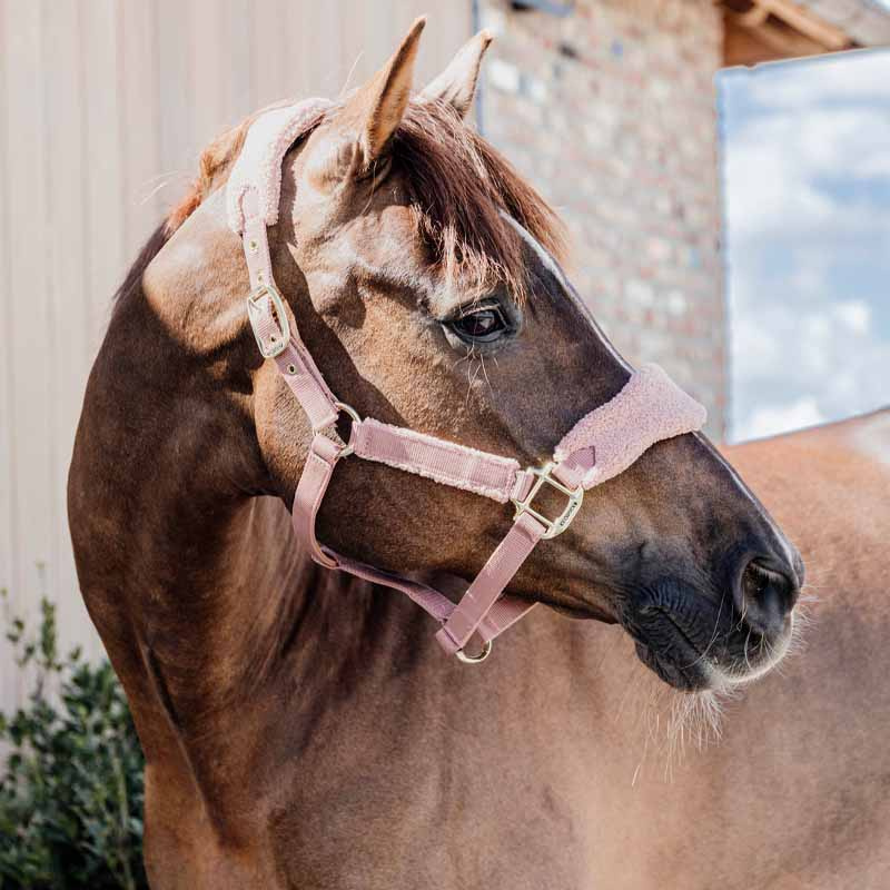 Halter Teddy Fleece Old Pink