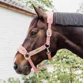 Halter Teddy Fleece Old Pink Halter Teddy Fleece Old Pink