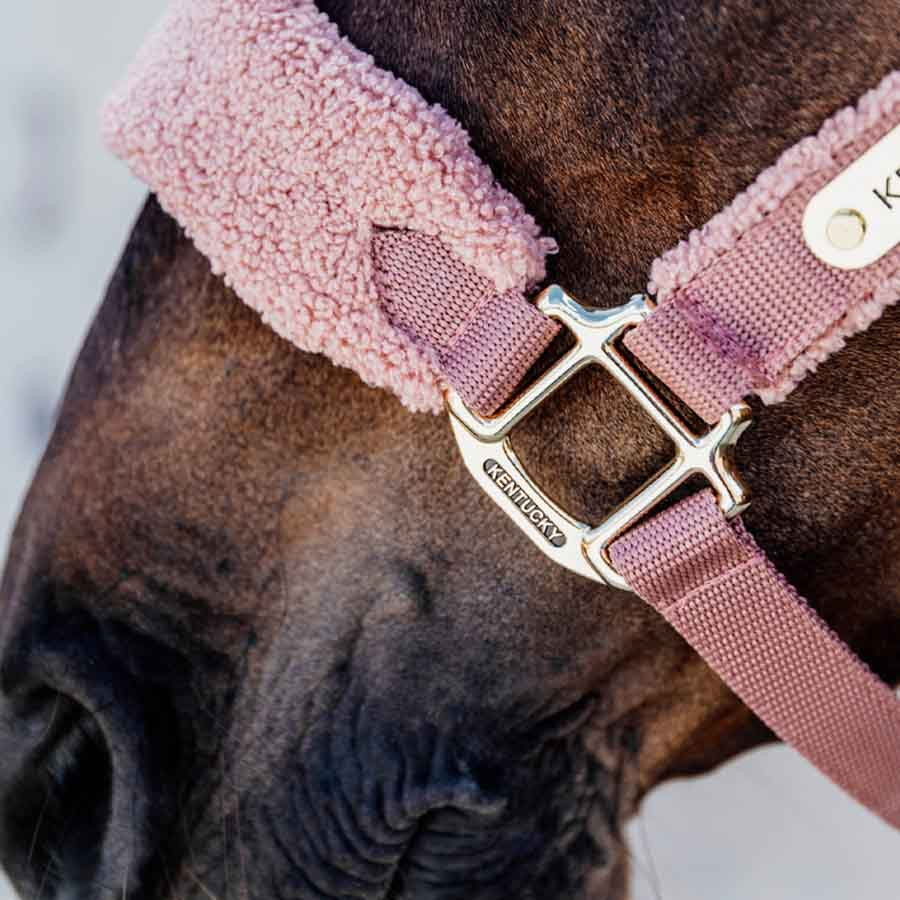 Halter Teddy Fleece Old Pink