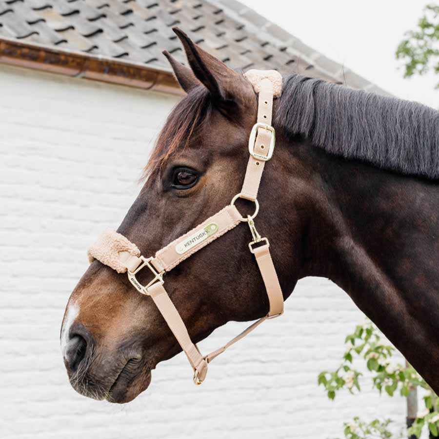 Halter Teddy Fleece Beige