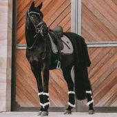 Dressage Saddle Pad Pied-de-Poule Black Dressage Saddle Pad Pied-de-Poule Black