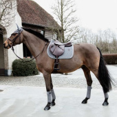 Saddle Pad Basic Velvet Grey Saddle Pad Basic Velvet Grey