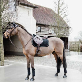 Saddle Pad Basic Velvet Black Saddle Pad Basic Velvet Black