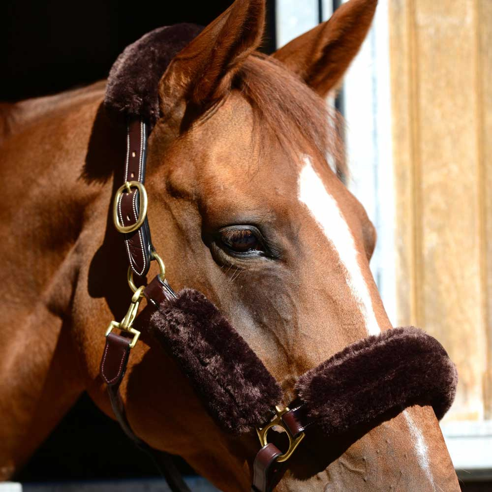 Sheepskin Set for Halter Brown