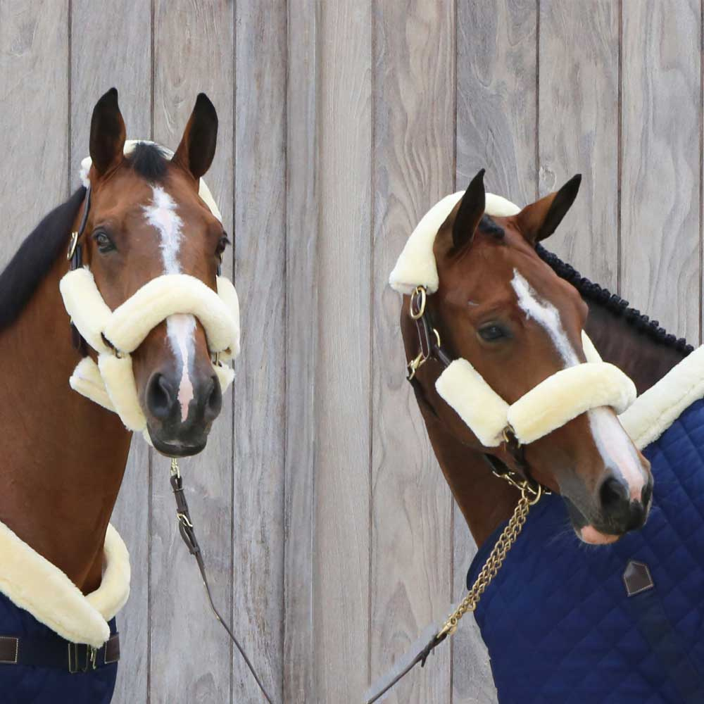 Sheepskin Set for Halter Natural