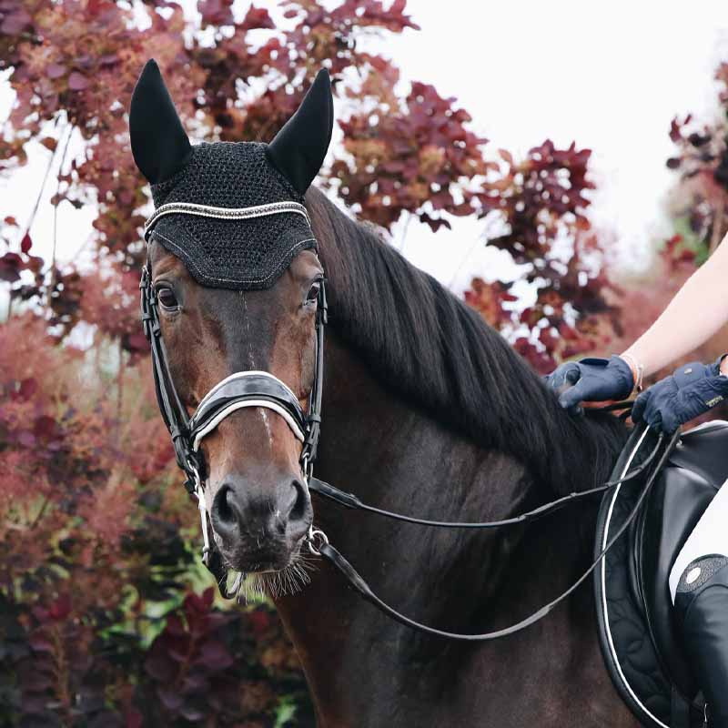 Ear Bonnet Wellington Sparkling Soundless Black