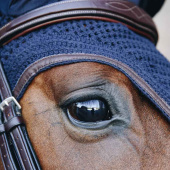 Ear Bonnet Wellington Leather Soundless Dark Navy Ear Bonnet Wellington Leather Soundless Dark Navy