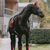 Ear Bonnet Wellington Velvet Bordeaux Ear Bonnet Wellington Velvet Bordeaux