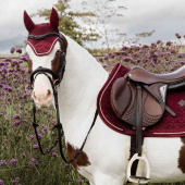 Ear Bonnet Wellington Velvet Bordeaux Ear Bonnet Wellington Velvet Bordeaux