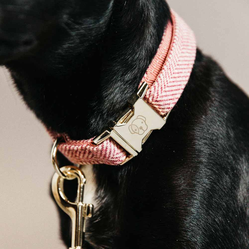 Dog Collar Wool Beige