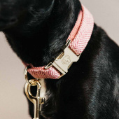 Dog Collar Wool Pink