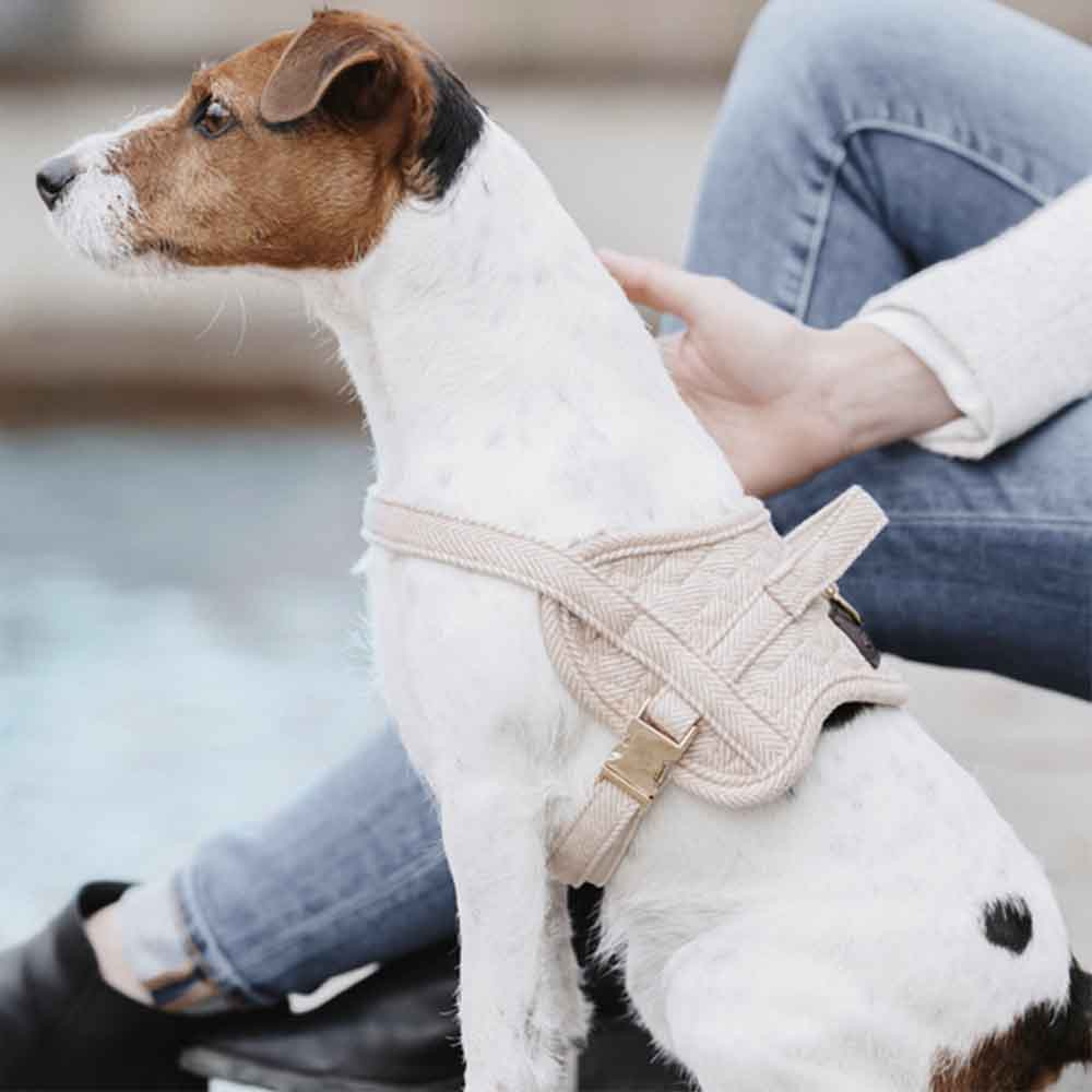 Dog Harness Wool Beige