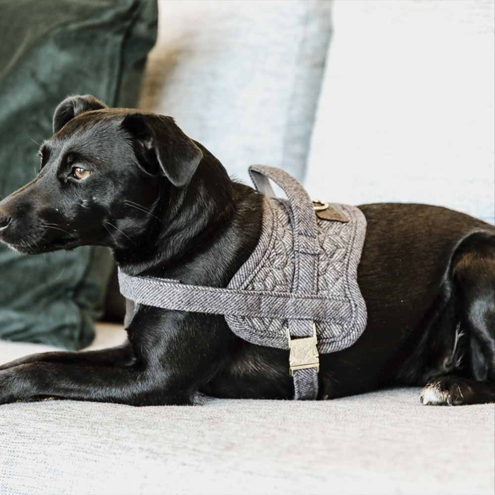 Dog Harness Wool Grey