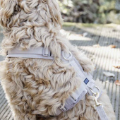Dog Harness Active Velvet Beige