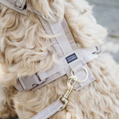Dog Harness Active Velvet Beige