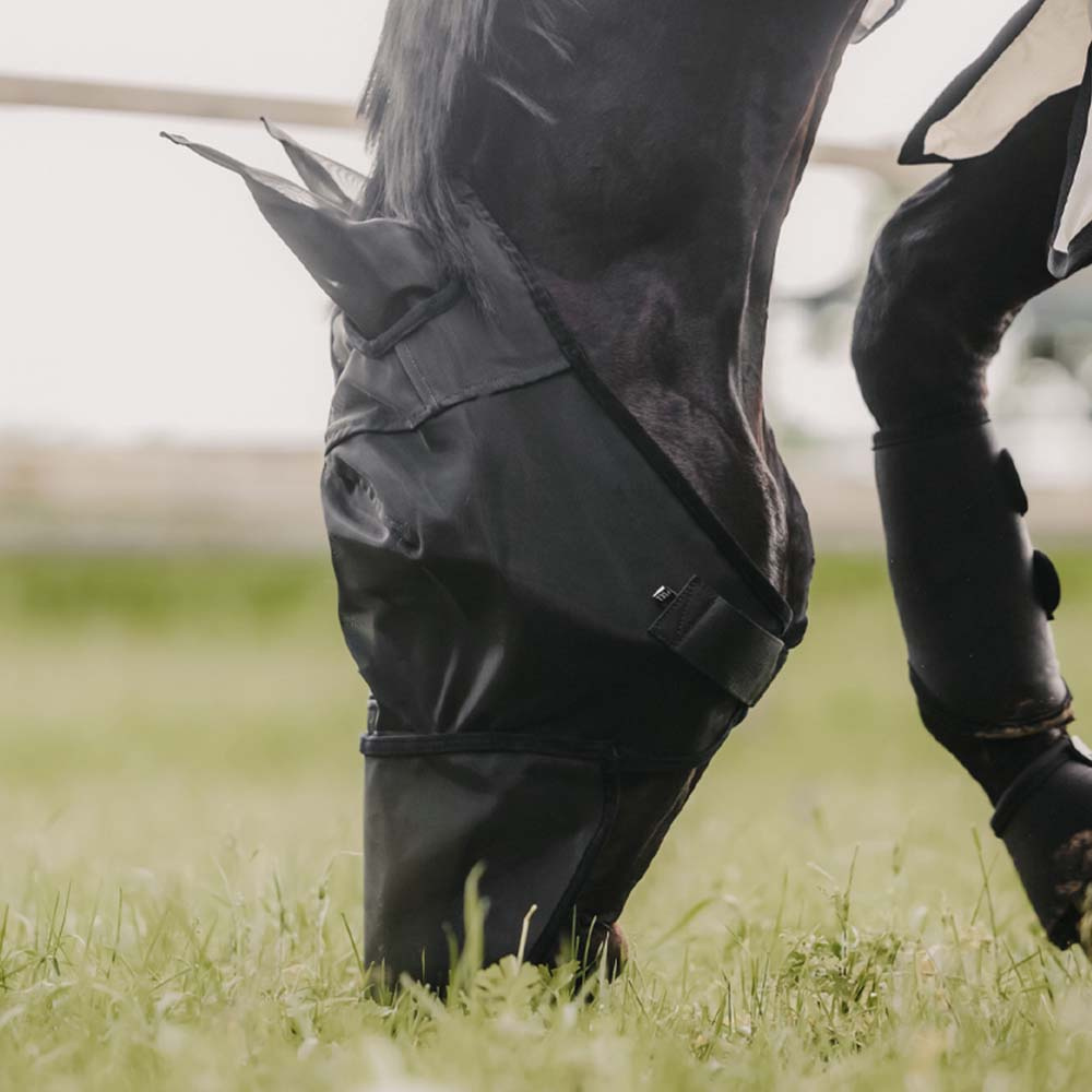 Fly Mask Classic with Ears och Nose Black