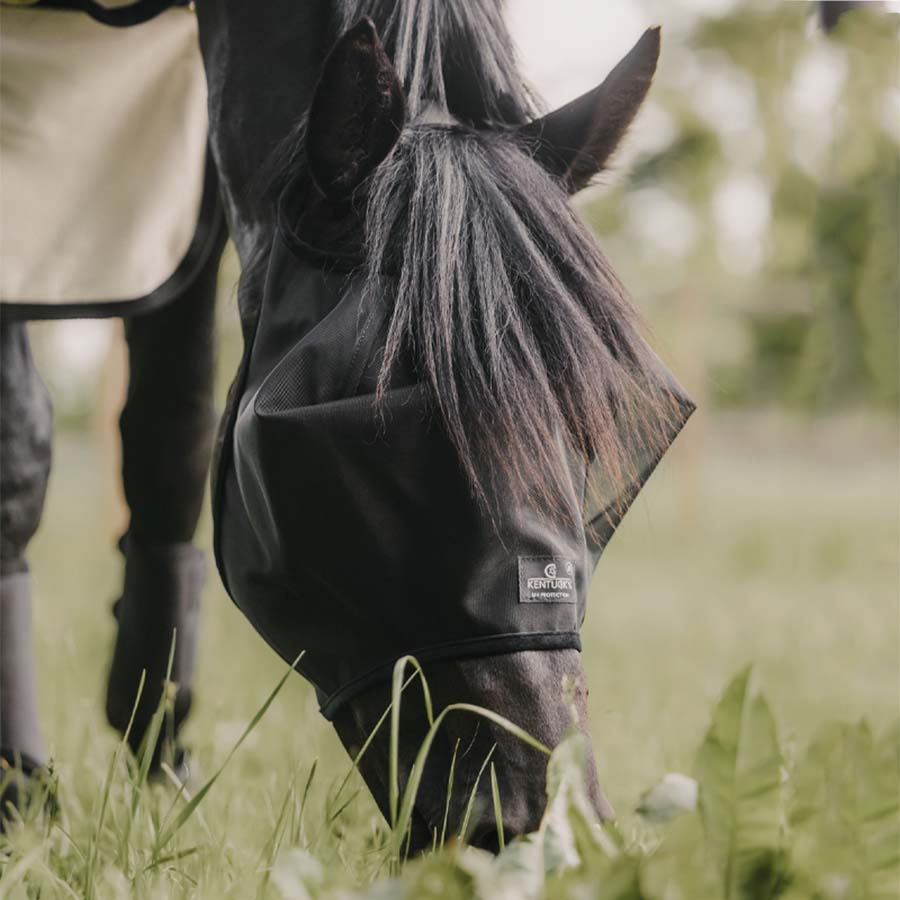 Fly Mask Classic without Ears Black