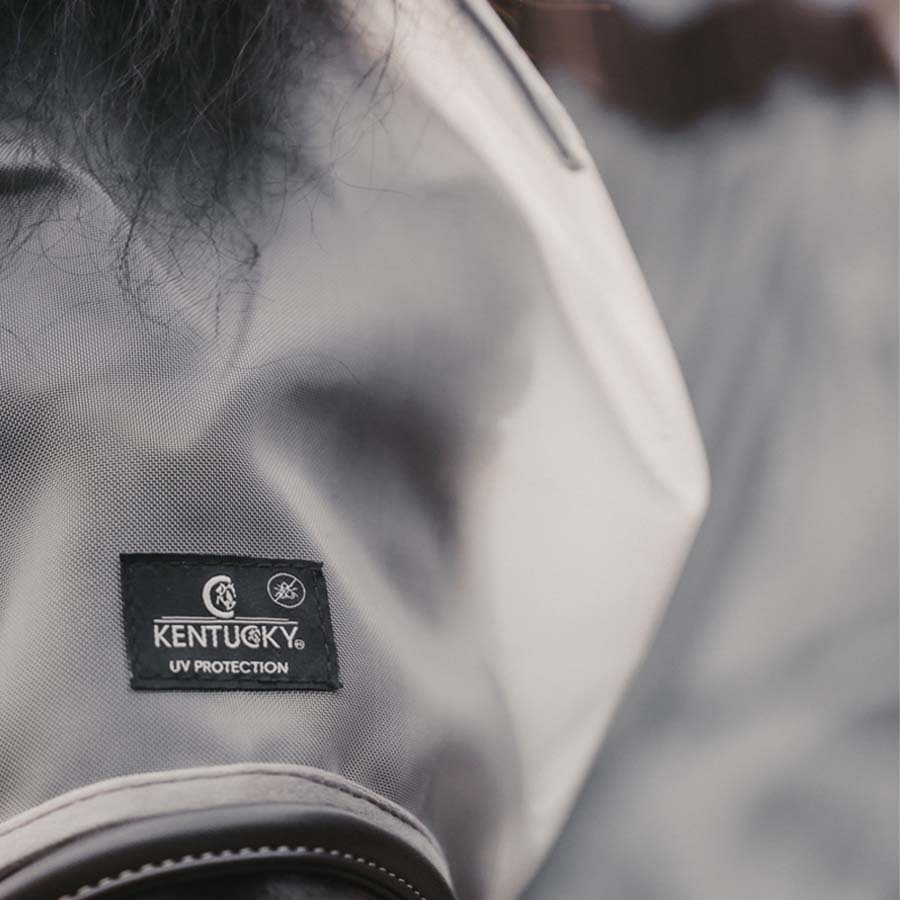 Fly Mask Classic without Ears Silver