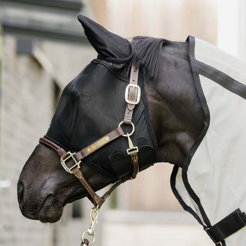 Fly Mask Classic with Ears Black