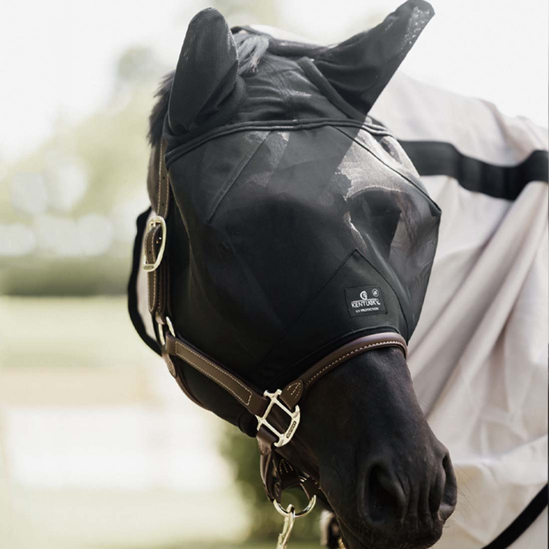 Fly Mask Classic with Ears Black