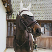 Ear Bonnet Wellington Plaited Cord Beige Ear Bonnet Wellington Plaited Cord Beige