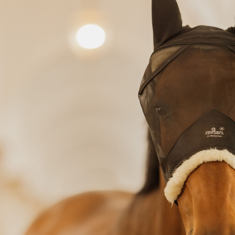 Fly Veil with Ears Skin Friendly Black