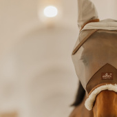 Fly Veil with Ears Skin Friendly Silver Fly Veil with Ears Skin Friendly Silver