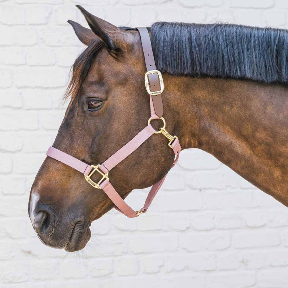 Halter Breakaway Old Pink