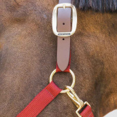 Halter Breakaway Bordeaux Halter Breakaway Bordeaux