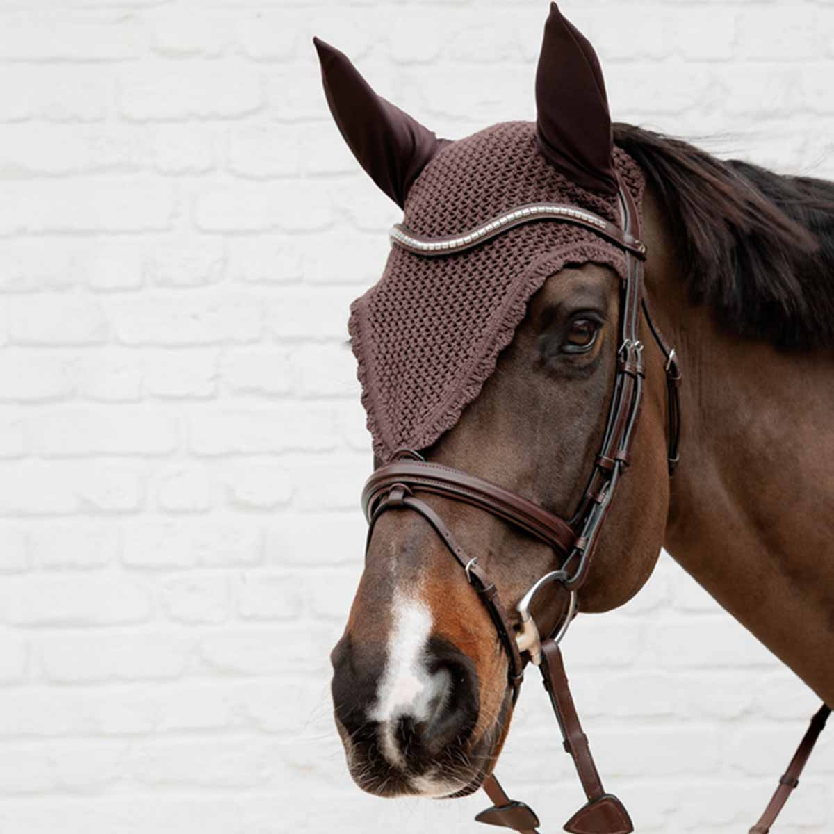 Long Ear Bonnet Loop Brown