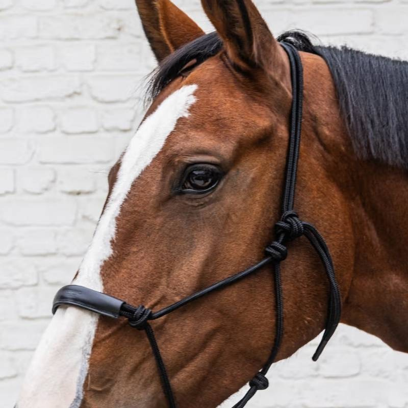 Rope Halter Grooming Deluxe Black