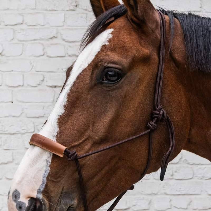 Rope Halter Grooming Deluxe Brown