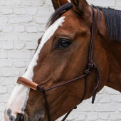 Rope Halter Grooming Deluxe Brown Rope Halter Grooming Deluxe Brown